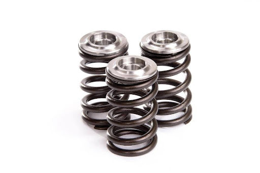 Common Symptoms of Faulty Valve Spring(s)